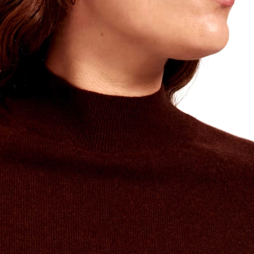 Everlane Cashmere Raglan Mockneck